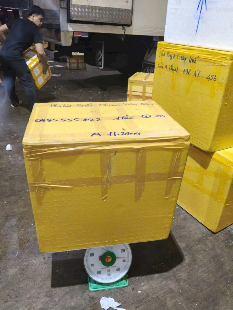 Gửi hàng từ TPHCM đi Huế bằng đường hàng không Bảo Huy