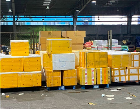 Chuyển phát hỏa tốc TPHCM đi Đà Lạt bằng đường hàng không Bảo Huy Sao chép ALT ảnh