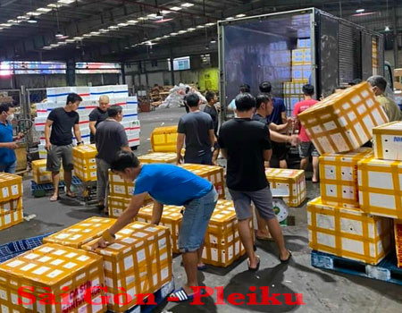 Gửi hàng từ TPHCM đi Pleiku bằng đường hàng không Bảo Huy Sao chép ALT ảnh